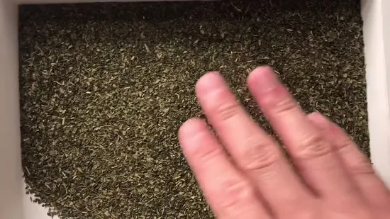 Green Tea Fannings Dust Rain Forest Organic 1.1-1.4mm for Tea Bags